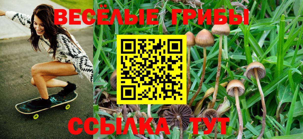 Псилоцибиновые грибы прущие грибы  Вход с VPN  Урус-Мартан 
