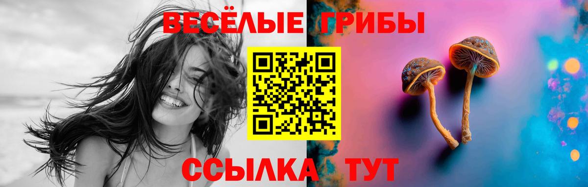 Галлюциногенные грибы MAGIC MUSHROOMS Урус-Мартан